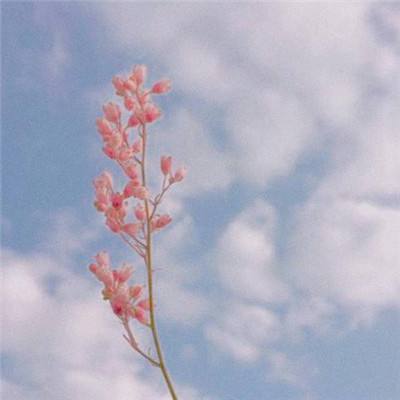 博鱼·(boyu)体育官方网站