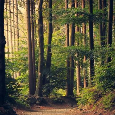 722cc大发彩神app下载