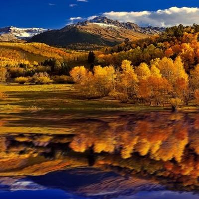 彩神8官网app下载